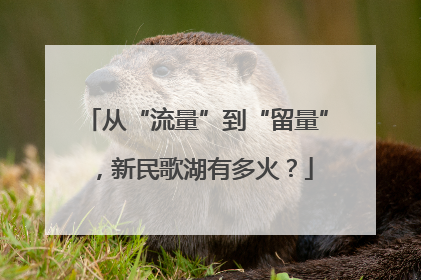 从“流量”到“留量”，新民歌湖有多火？