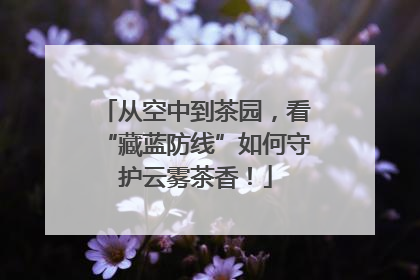 从空中到茶园，看“藏蓝防线”如何守护云雾茶香！