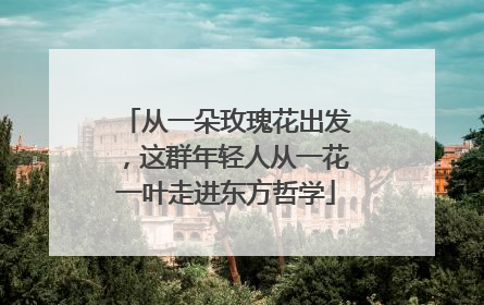 从一朵玫瑰花出发，这群年轻人从一花一叶走进东方哲学