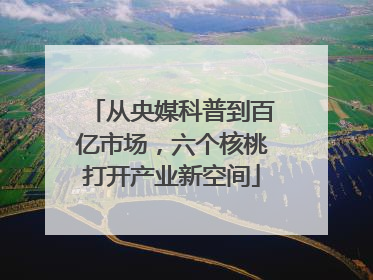 从央媒科普到百亿市场，六个核桃打开产业新空间