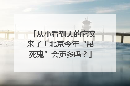 从小看到大的它又来了！北京今年“吊死鬼”会更多吗？