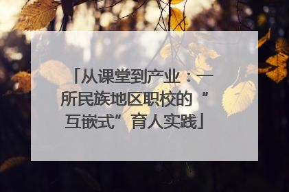 从课堂到产业：一所民族地区职校的“互嵌式”育人实践