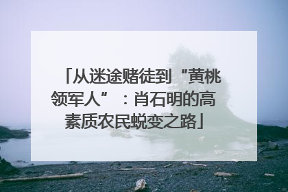 从迷途赌徒到“黄桃领军人”：肖石明的高素质农民蜕变之路