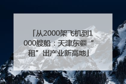 从2000架飞机到1000艘船：天津东疆“租”出产业新高地