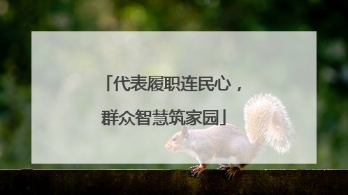 代表履职连民心，群众智慧筑家园