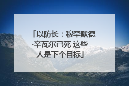 以防长：穆罕默德·辛瓦尔已死 这些人是下个目标