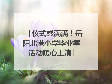 仪式感满满！岳阳北港小学毕业季活动暖心上演