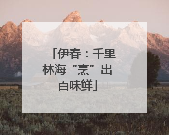 伊春：千里林海“烹”出百味鲜