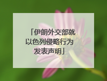 伊朗外交部就以色列侵略行为发表声明