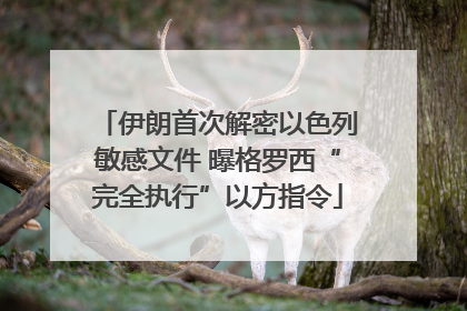 伊朗首次解密以色列敏感文件 曝格罗西“完全执行”以方指令