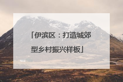 伊滨区：打造城郊型乡村振兴样板