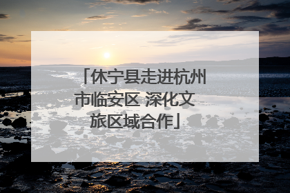 休宁县走进杭州市临安区 深化文旅区域合作