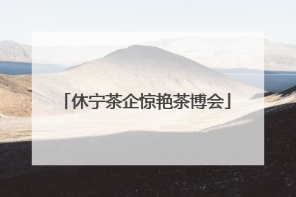 休宁茶企惊艳茶博会