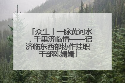 众生丨一脉黄河水，千里济临情——记济临东西部协作挂职干部陈姗姗