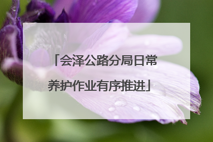 会泽公路分局日常养护作业有序推进