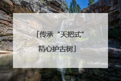 传承“天把式” 精心护古树