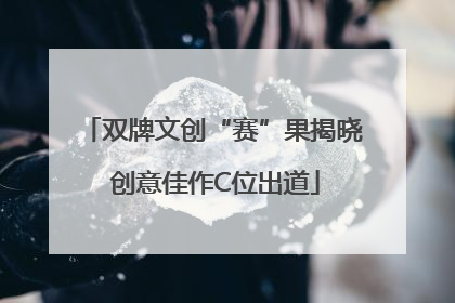 双牌文创“赛”果揭晓 创意佳作C位出道