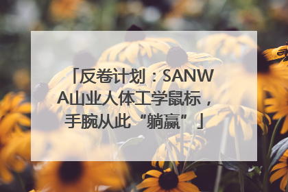 反卷计划：SANWA山业人体工学鼠标，手腕从此“躺赢”