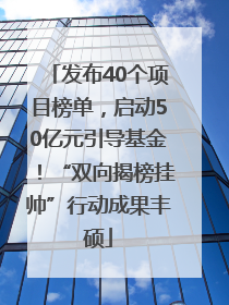 发布40个项目榜单，启动50亿元引导基金！“双向揭榜挂帅”行动成果丰硕