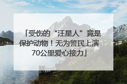 受伤的“汪星人”竟是保护动物！无为警民上演70公里爱心接力