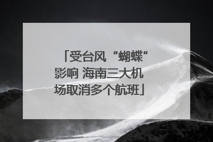 受台风“蝴蝶”影响 海南三大机场取消多个航班
