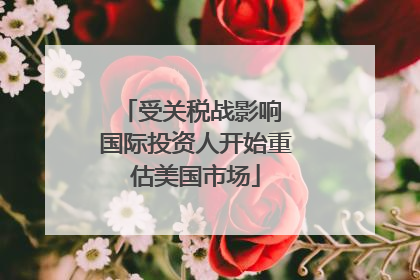 受关税战影响 国际投资人开始重估美国市场