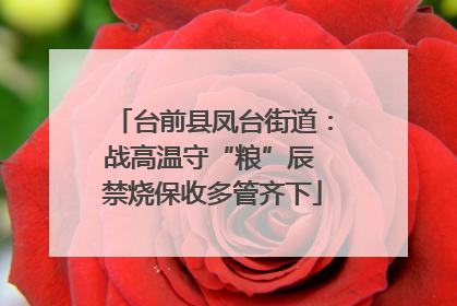 台前县凤台街道：战高温守“粮”辰 禁烧保收多管齐下