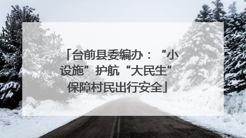 台前县委编办：“小设施”护航“大民生” 保障村民出行安全