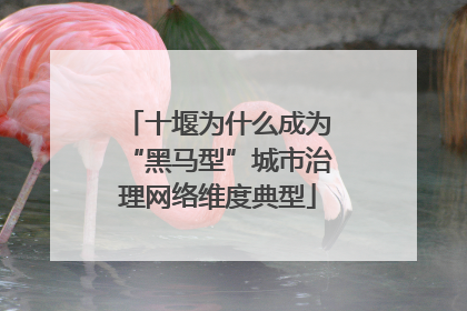 十堰为什么成为“黑马型”城市治理网络维度典型