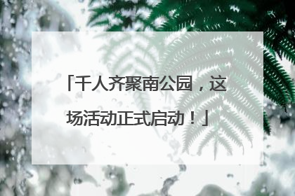 千人齐聚南公园，这场活动正式启动！