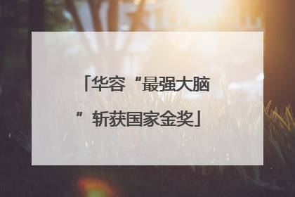 华容“最强大脑”斩获国家金奖