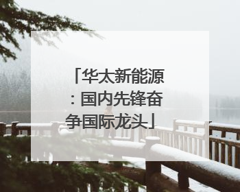 华太新能源：国内先锋奋争国际龙头