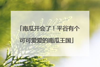 南瓜开会了！平谷有个可可爱爱的南瓜王国