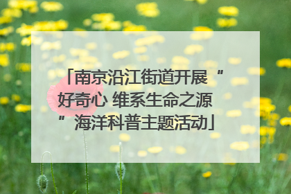 南京沿江街道开展“好奇心 维系生命之源”海洋科普主题活动