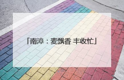 南漳：麦飘香 丰收忙