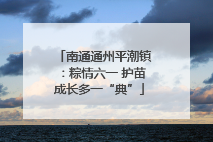 南通通州平潮镇：粽情六一 护苗成长多一“典”