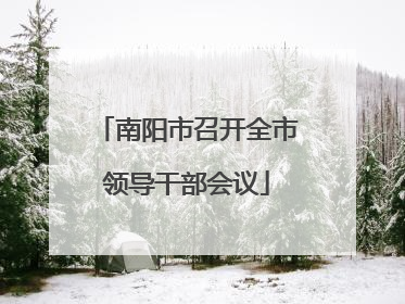 南阳市召开全市领导干部会议