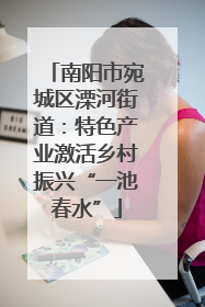 南阳市宛城区溧河街道：特色产业激活乡村振兴“一池春水”