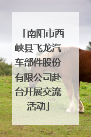 南阳市西峡县飞龙汽车部件股份有限公司赴台开展交流活动
