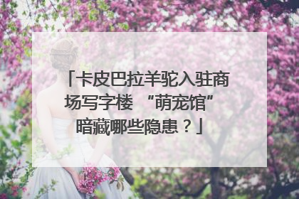 卡皮巴拉羊驼入驻商场写字楼 “萌宠馆”暗藏哪些隐患？