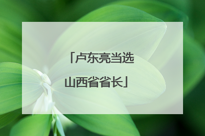 卢东亮当选山西省省长