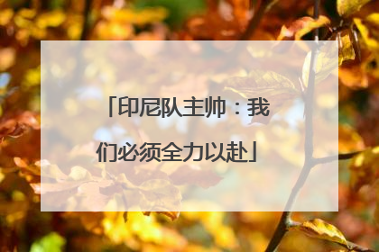 印尼队主帅：我们必须全力以赴
