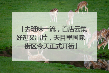 去班味一流，首店云集好逛又出片，天目里国际街区今天正式开街