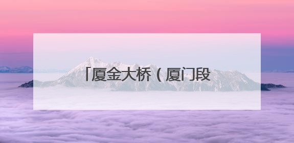 厦金大桥（厦门段），最新进展！