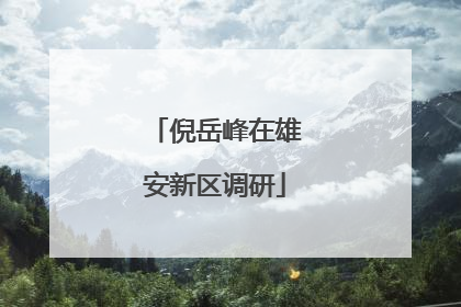 倪岳峰在雄安新区调研