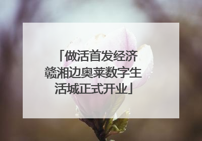 做活首发经济 赣湘边奥莱数字生活城正式开业
