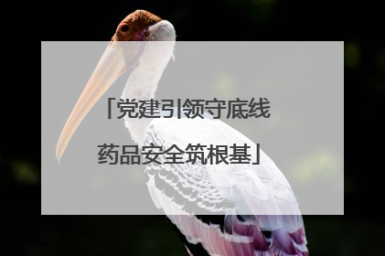 党建引领守底线 药品安全筑根基