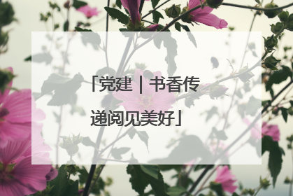 党建｜书香传递阅见美好