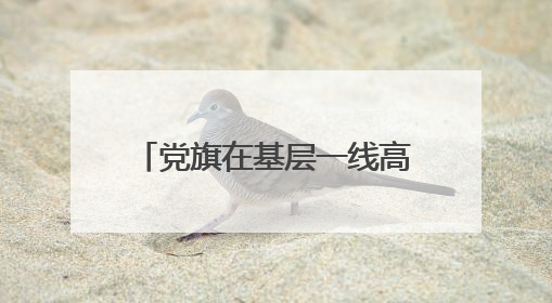 党旗在基层一线高高飘扬丨雄安新区雄县黄湾村党支部：在老百姓心里，筑起“一座山”