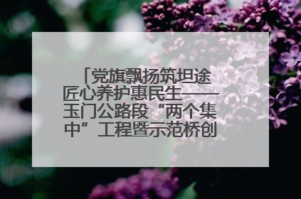 党旗飘扬筑坦途 匠心养护惠民生——玉门公路段“两个集中”工程暨示范桥创建项目圆满收官